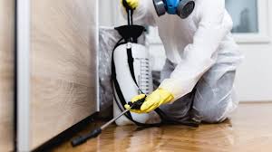 Real Estate Pest Inspections in Sweet Home, OR